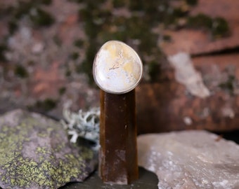 Silver Petrified Wood Ring