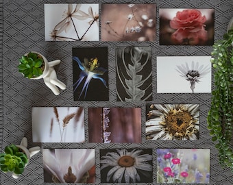 Floral Postcard Pack of 12, Flower Notecards, Friend Gift Under 20, Botanical Stationery Set, Fine Art Postcards, Scrapbooking Post Cards