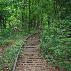 Abandoned Railroad in the Woods