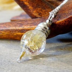 May include: A silver chain necklace with a teardrop-shaped glass pendant filled with dried dandelion seeds and gold flakes.