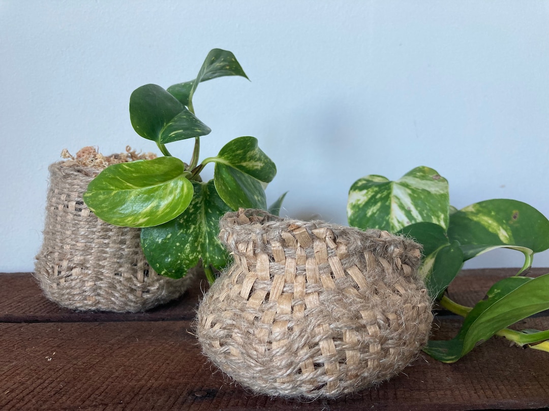 learn-to-basket-weave-using-the-traditional-plain-weave-technique-with