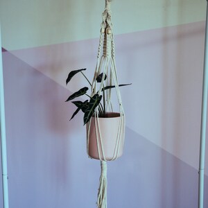 May include: A white macrame plant hanger with a pink planter and a green plant hanging from a white metal rod.