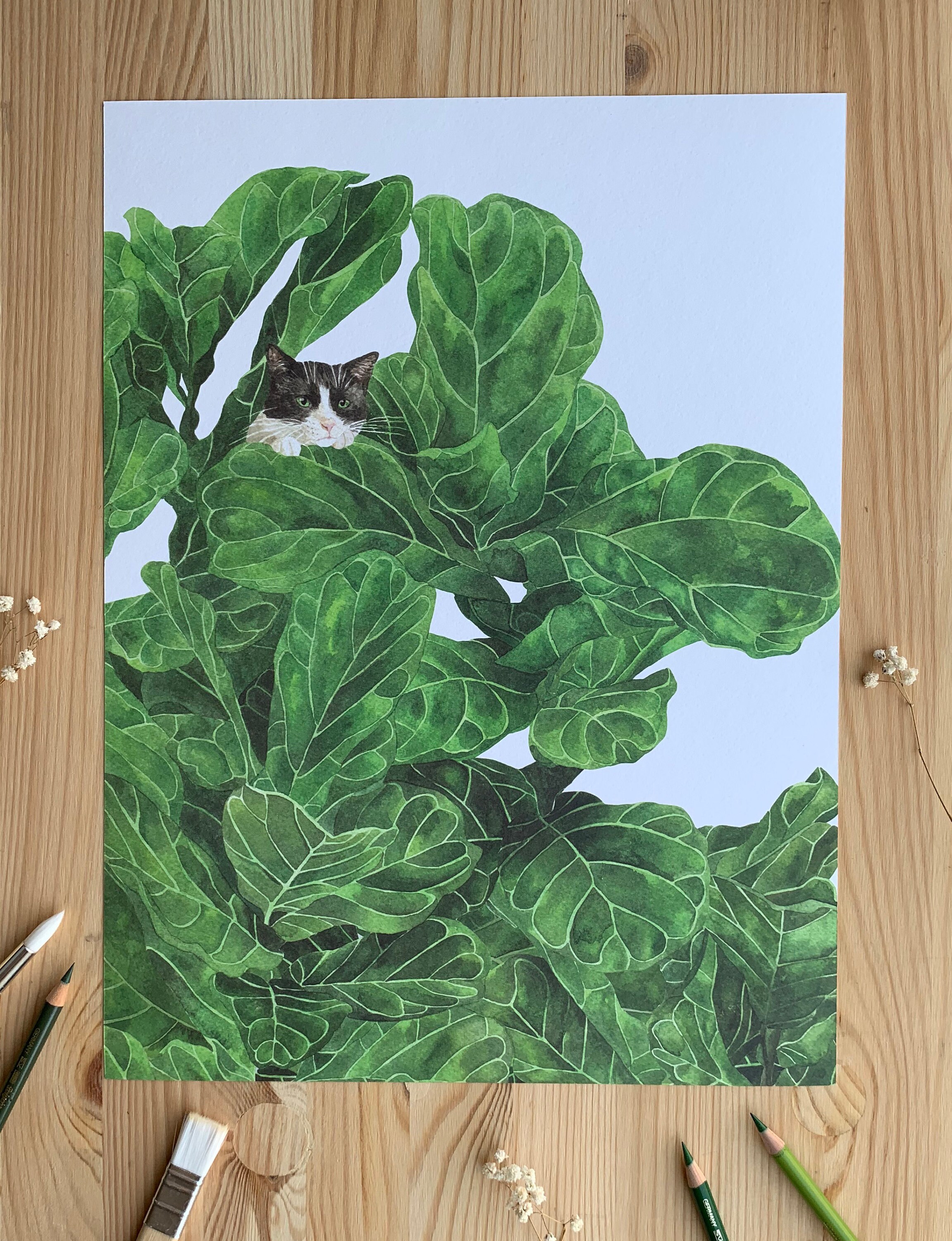 fiddle leaf fig and cats
