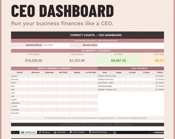 CEO Dashboard Spreadsheet | Income Expense Tracker | Small Business Finance Template | Excel Google Sheets