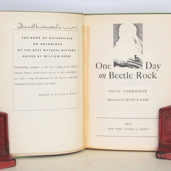 1945 - SIGNED - One Day on Beetle Rock - by Sally Carrighar - Illustrated by Henry B. Kane - Published by Alfred A. Knopf, New York