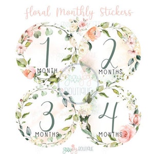 Floral Wreaths Monthly Stickers, Baby Girl, Roses Peonies Baby's Breath Eucalyptus Floral, Peach Coral Gold, 1-12 Months Milestone Stickers