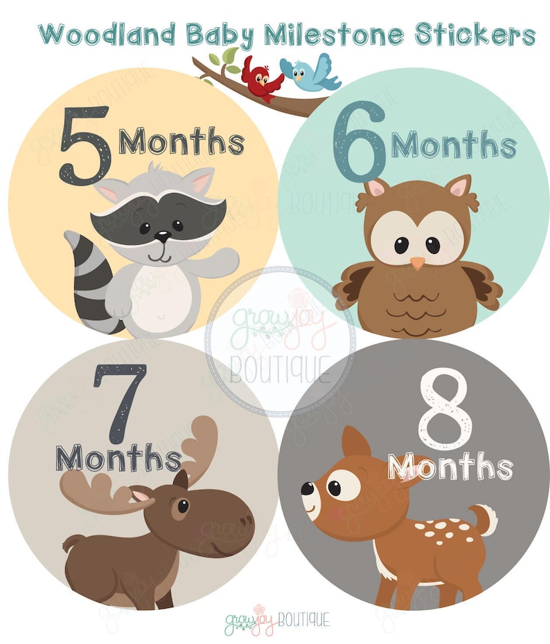 Woodland Baby Boy Month Milestone Stickers Woodland Animals Etsy