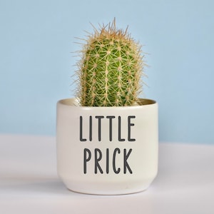 Funny Cactus Ceramic Planter, Cactus Pot, Small Planter, Housewarming Gift