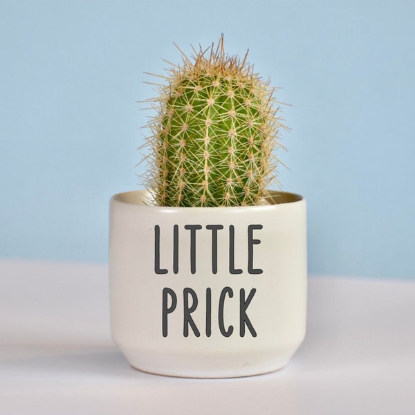 Funny Cactus Ceramic Planter, Cactus Pot, Small Planter, Housewarming Gift