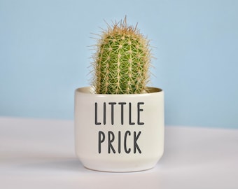 Funny Cactus Ceramic Planter, Cactus Pot, Small Planter, Housewarming Gift