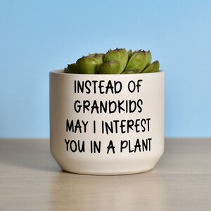 May include: White ceramic planter with a succulent plant inside. The planter has black text that reads "Instead of Grandkids May I Interest You in a Plant."