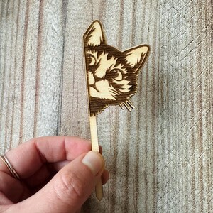 May include: A wooden cutout of a cat's face peeking around a corner. The cat has a playful expression and is made of light brown wood.