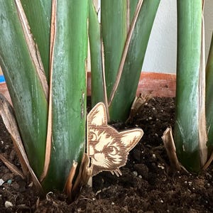 May include: A wooden cat face cutout peeking out from behind a green plant. The cat has brown fur and white markings around its eyes.