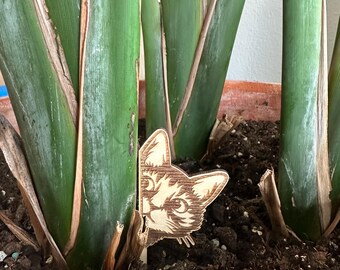 May include: A wooden cat face cutout peeking out from behind a green plant. The cat has brown fur and white markings around its eyes.