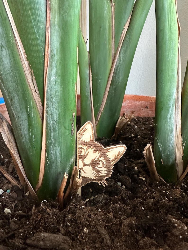 May include: A wooden cat face cutout peeking out from behind a green plant. The cat has brown fur and white markings around its eyes.