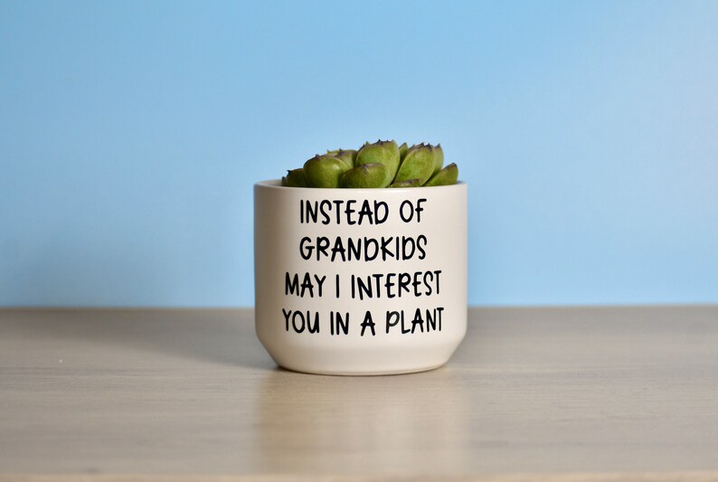 May include: White ceramic planter with a succulent plant inside. The planter has black text that reads "Instead of Grandkids May I Interest You in a Plant."