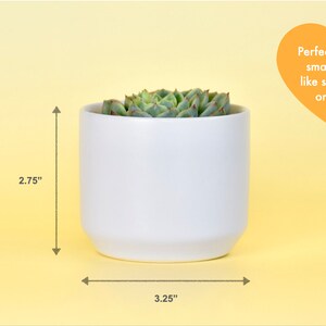 May include: White ceramic planter with a succulent plant inside. The planter is 3.25 inches wide and 2.75 inches tall.  "Perfect size for small plants like succulents or cacti!"