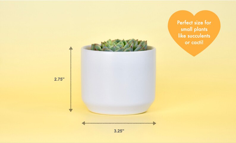 May include: White ceramic planter with a succulent plant inside. The planter is 3.25 inches wide and 2.75 inches tall.  "Perfect size for small plants like succulents or cacti!"