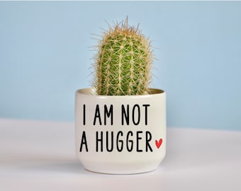 Funny Cactus Ceramic Planter, Cactus Pot, Small Planter, Housewarming Gift