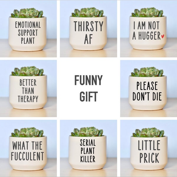 Funny Custom Succulent Pot, Custom Ceramic Planter, Gag Gift, Custom Flower Pot, Custom Plant Pot, Personalized Planter