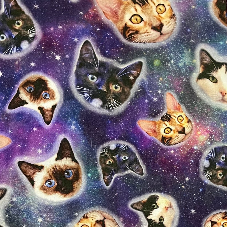Space Cats Galaxy Stars Printed Adult High Waisted Skater Skirts