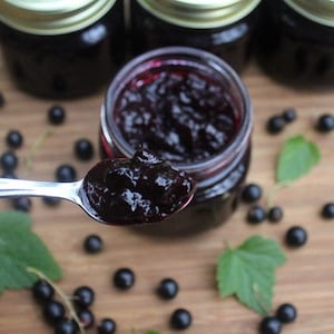 FRESH Home Made Organic Black Currant Preserves Jam Or Jelly All Natural Great For Gifts image 1