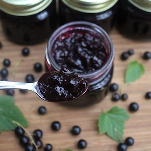 FRESH Home Made Organic Black Currant Preserves Jam Or Jelly All Natural Great For Gifts