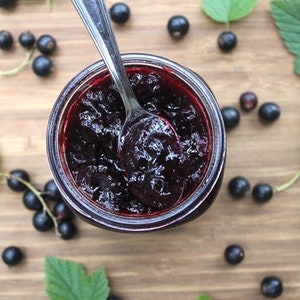 FRESH Home Made Organic Black Currant Preserves Jam Or Jelly All Natural Great For Gifts image 2