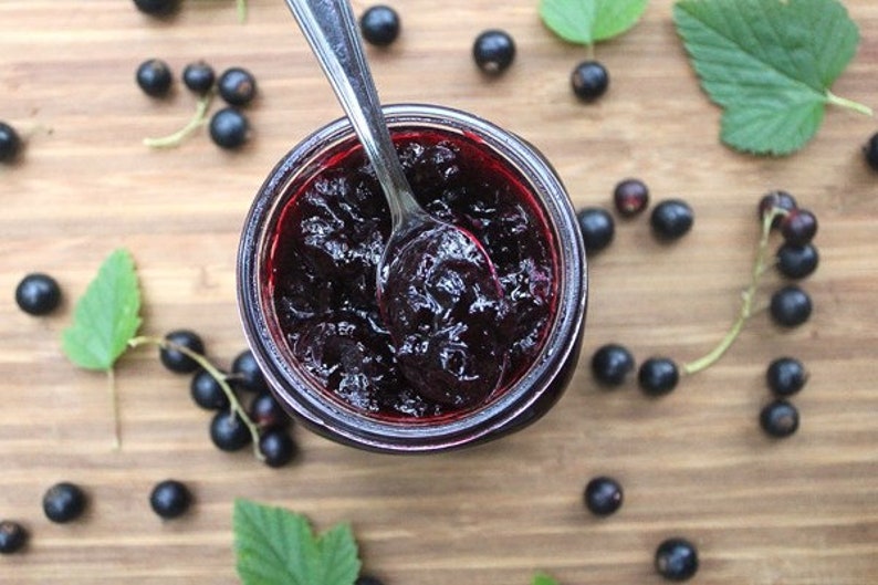 FRESH Home Made Organic Black Currant Preserves Jam Or Jelly All Natural Great For Gifts image 2