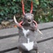 see more listings in the Rat Taxidermy section