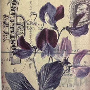 1 x Mauve Sweet Pea Blumen Papier - Junk Journal - Scrapbooking - Kartenherstellung - Collage Ephemera - Papiermodelle.