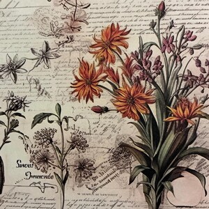 1 x Papel de flores silvestres - Diário de sucata - Scrapbooking - Criação de cartões - Colagem de itens efêmeros - Artesanato em papel.