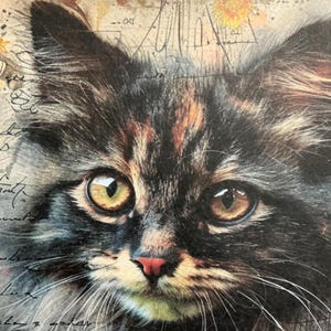 3 x Cat Papers - Animal Junk Journal - Scrapbooking - Creazione di biglietti - Collage - Kit per lavori di carta.