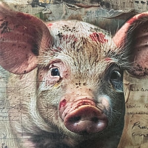 2 x fogli di carta a forma di maialino - Diario di animali da fattoria - Scrapbooking - Creazione di biglietti - Kit per collage di carta.
