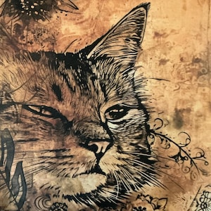 3 x papier chat classique - journal indésirable - scrapbooking - fabrication de cartes - collage - kits d'artisanat en papier.
