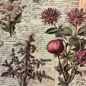 1 x Papel de flores silvestres - Diário de sucata - Scrapbooking - Criação de cartões - Colagem de itens efêmeros - Artesanato em papel.