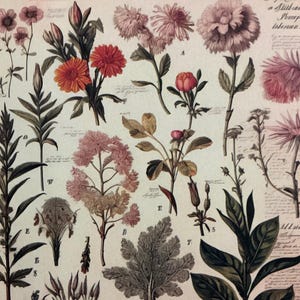 1 x Papel de flores silvestres - Diário de sucata - Scrapbooking - Criação de cartões - Colagem de itens efêmeros - Artesanato em papel.