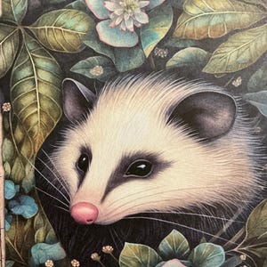 1 x Moon Light Possum Paper - Junk Journal - Scrapbooking -Card Making -Collage Paper - Paper Craft.