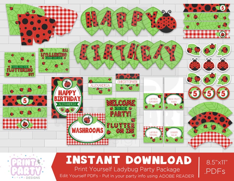 Printable Ladybug Birthday Party Decorations Summer Ladybug - Etsy