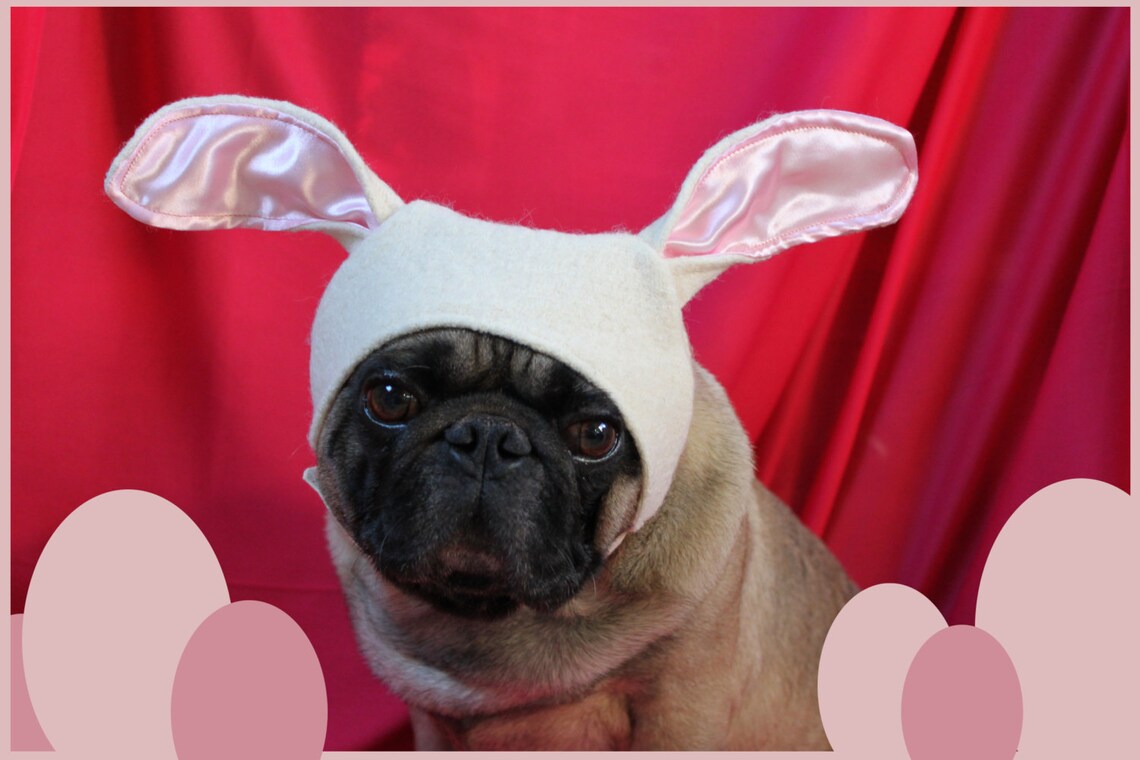 Easter Bunny Hat Dog Hat Dog Bunny Ears Rabbit Costume Dog Etsy