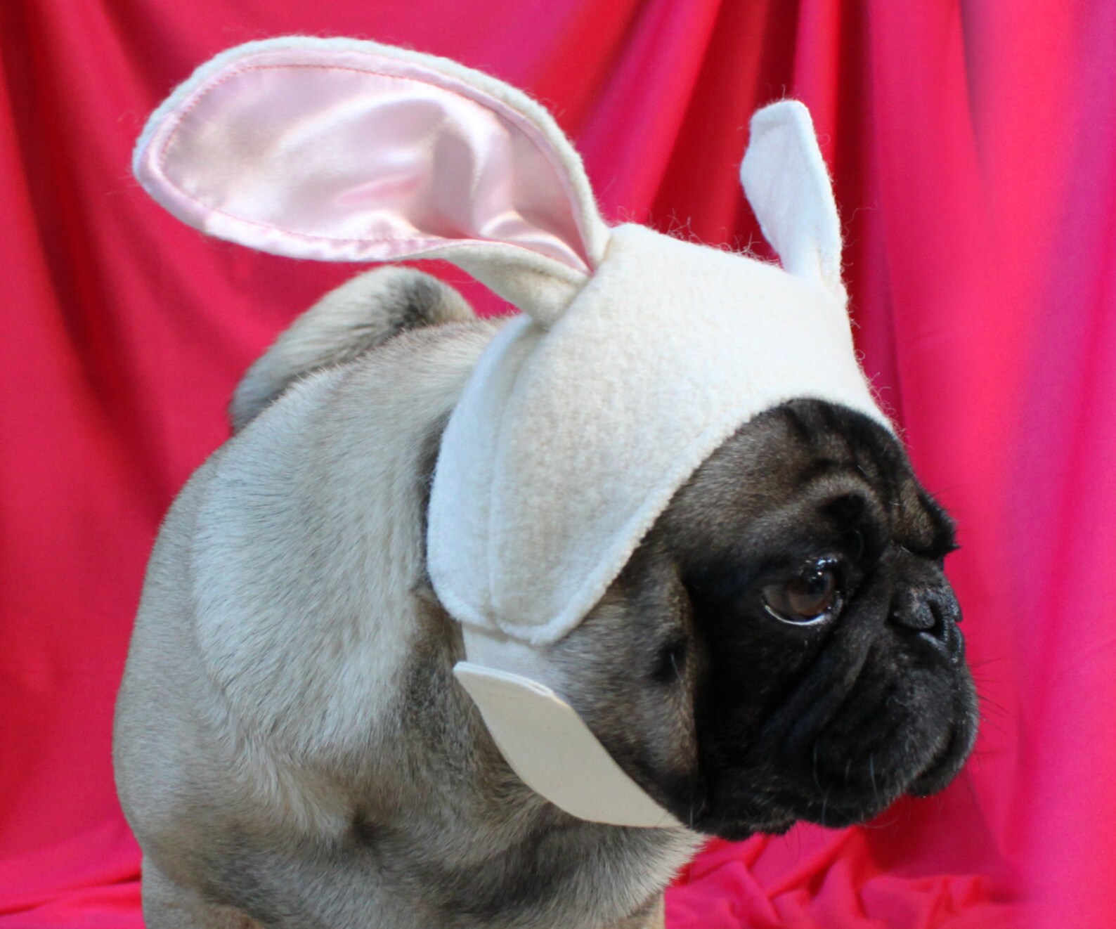 Easter Bunny Hat Dog Hat Dog Bunny Ears Rabbit Costume Dog Etsy