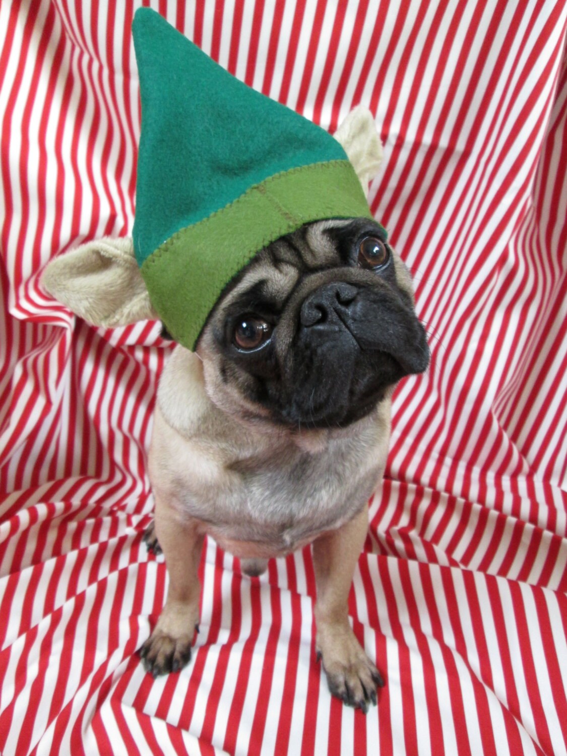 Puggy Pixie Hat Christmas Hat for Dogs Dog Elf Hat With Etsy