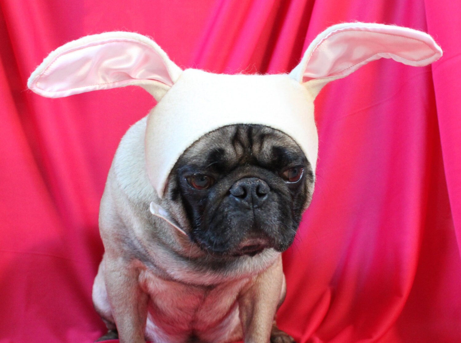 Osterhase Mütze Hundehut Hasenohren Hasenkostüm Hund Etsy