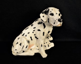 Dalmatian Dog with Puppies Bank