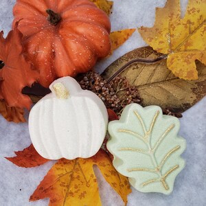 Pumpkin Bath Bomb Gift Set: Fall Aromatherapy, Thanksgiving Table Favors