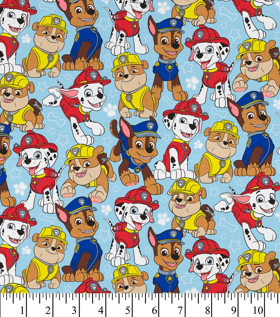 paw patrol paw patrol on the double