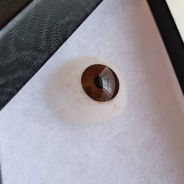 Antique Prosthetic Eye Etsy