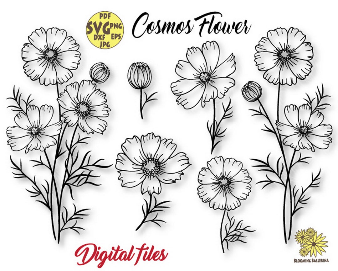 Cosmos Flower Wedding Svg File, October Birth Month Flower Svg, Bundle