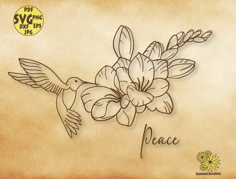 Hummingbird Svg. Flowers Hummingbird Svg, Freesia Svg, Hummingbird ...