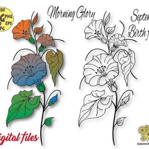 Morning Glory Flower Svg file, September Birth Month flower Svg, Morning Glory Svg, Morning Glory Png,Flower Virgo Svg,Virgo Flower cut file